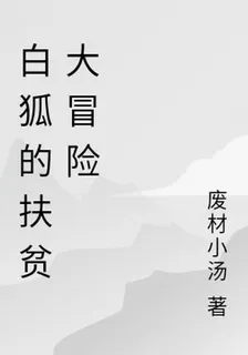 白狐的扶貧大冒險 封面