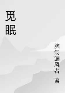 覓眠 封面