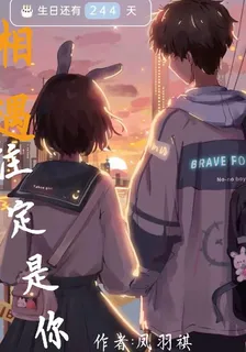 相遇註定是你 封面