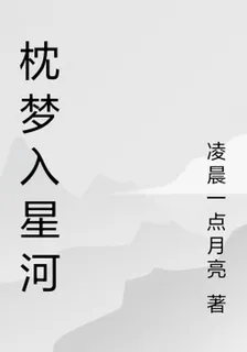 枕夢入星河 封面