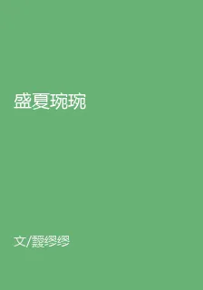 盛夏琬琬 封面