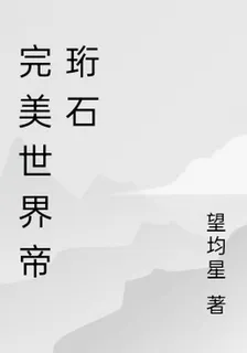 完美世界帝珩石 封面