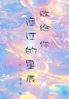 敗給你追過的星辰 封面
