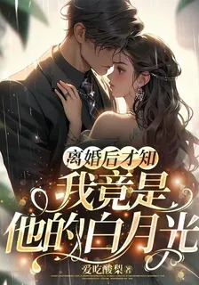 離婚後才知，我竟是他的白月光 封面