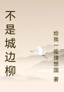 不是城邊柳 封面