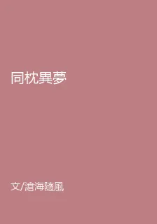 同枕異夢 封面