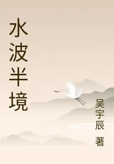 水波半境 封面