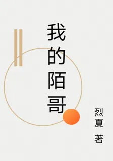 我的陌哥 封面