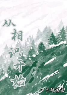 從相識開始 封面