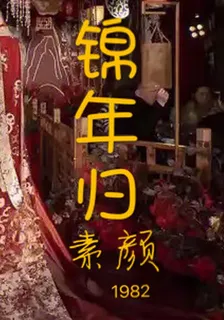 錦年歸 封面