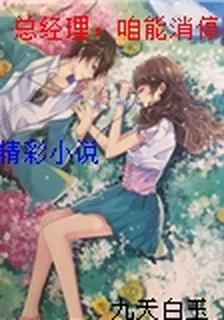 總經理，咱能消停點嗎 封面