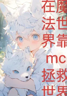 在魔法世界靠mc拯救世界 封面