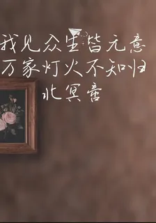 我見衆生皆無意，萬家燈火不知歸 封面