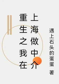 重生之我在上海做中介 封面