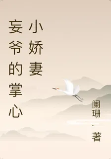 妄爺的掌心小嬌妻 封面