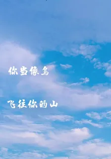 你當像鳥，飛往你的山 封面