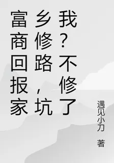 富商回報家鄉修路，坑我？不修了 封面