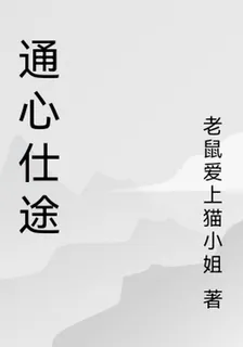 通心仕途 封面