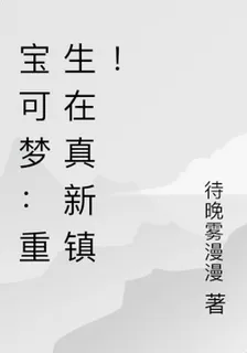 寶可夢：重生在真新鎮！ 封面