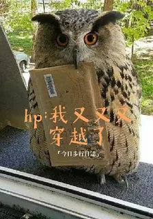 hp：我又又又穿越了 封面