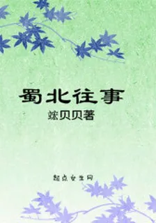 蜀北往事 封面