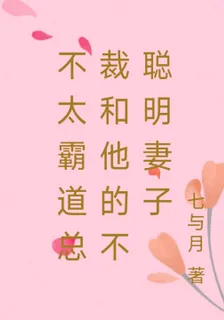 不太霸道總裁和他的不聰明妻子 封面