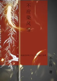 不應染風雪 封面