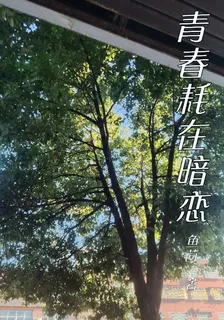青春耗在暗戀 封面