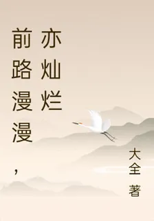 前路漫漫，亦燦爛 封面