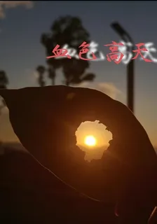 血色高天 封面