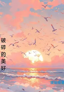 破碎的美好 封面