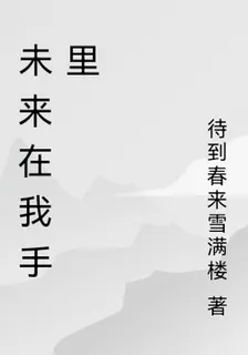 未來在我手裏 封面