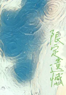 限定遺憾 封面