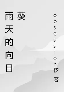 雨天的向日葵 封面