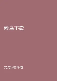 候鳥不歇 封面