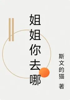 姐姐你去哪 封面