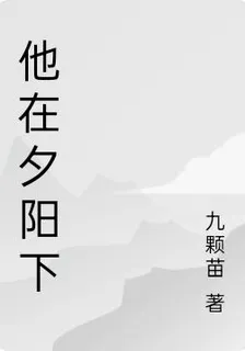 他在夕陽下 封面