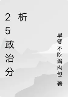 25政治分析 封面