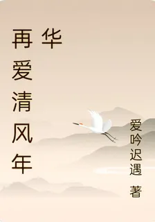 再愛清風年華 封面