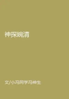 神探婉清 封面