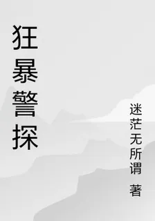 狂暴警探 封面