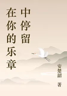 在你的樂章中停留 封面