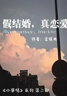 假結婚，真戀愛 封面