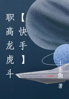 職高龍虎鬥【快手】 封面