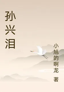 孫興淚 封面