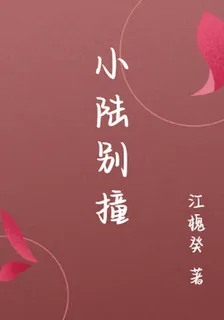 小陸別撞 封面