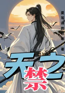 天之禁 封面