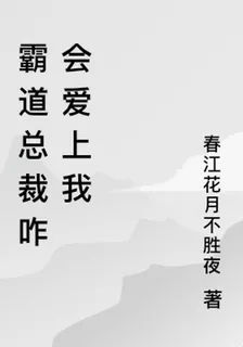 霸道總裁咋會愛上我 封面