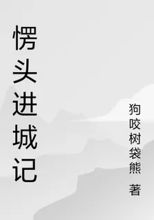 愣頭進城記 封面