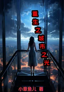 重生之城市之光 封面